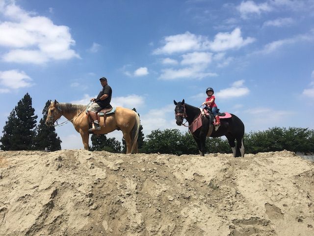 A man and a woman are riding horses on top of a sandy hill.
