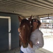 A woman is holding a brown horse in a stable.