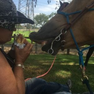 A woman is eating a sandwich next to a horse on a leash.