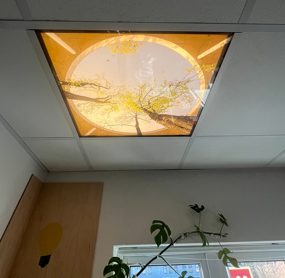 Lit ceiling graphic Gloucester and cheltenham