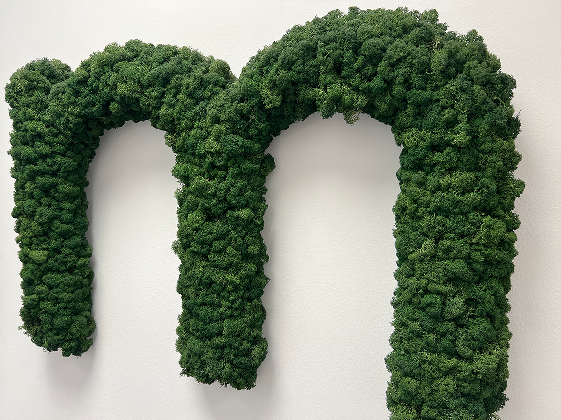 sign made from moss