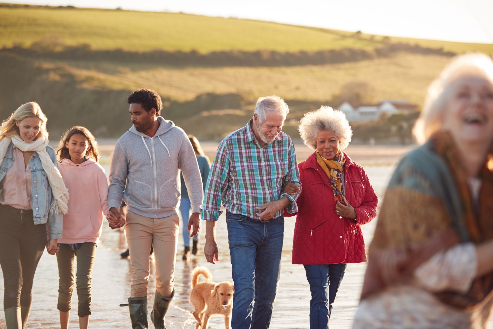 Group walking with a dog along a sunny coastal path, with hills and water in the background.
