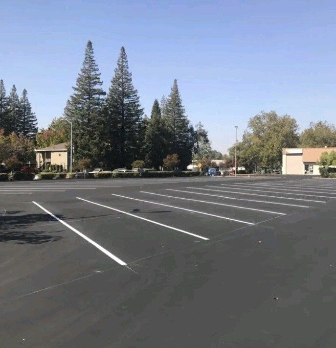 Empty asphalt parking lot with white lines, trees, and buildings on a sunny day.