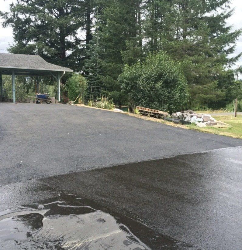 Asphalt driveway leading to a carport, with trees in the background and a puddle in the foreground.