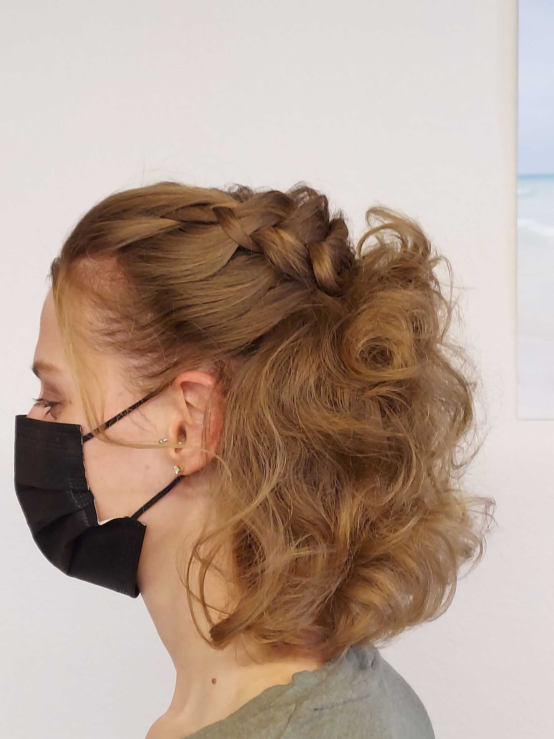 Braids 1