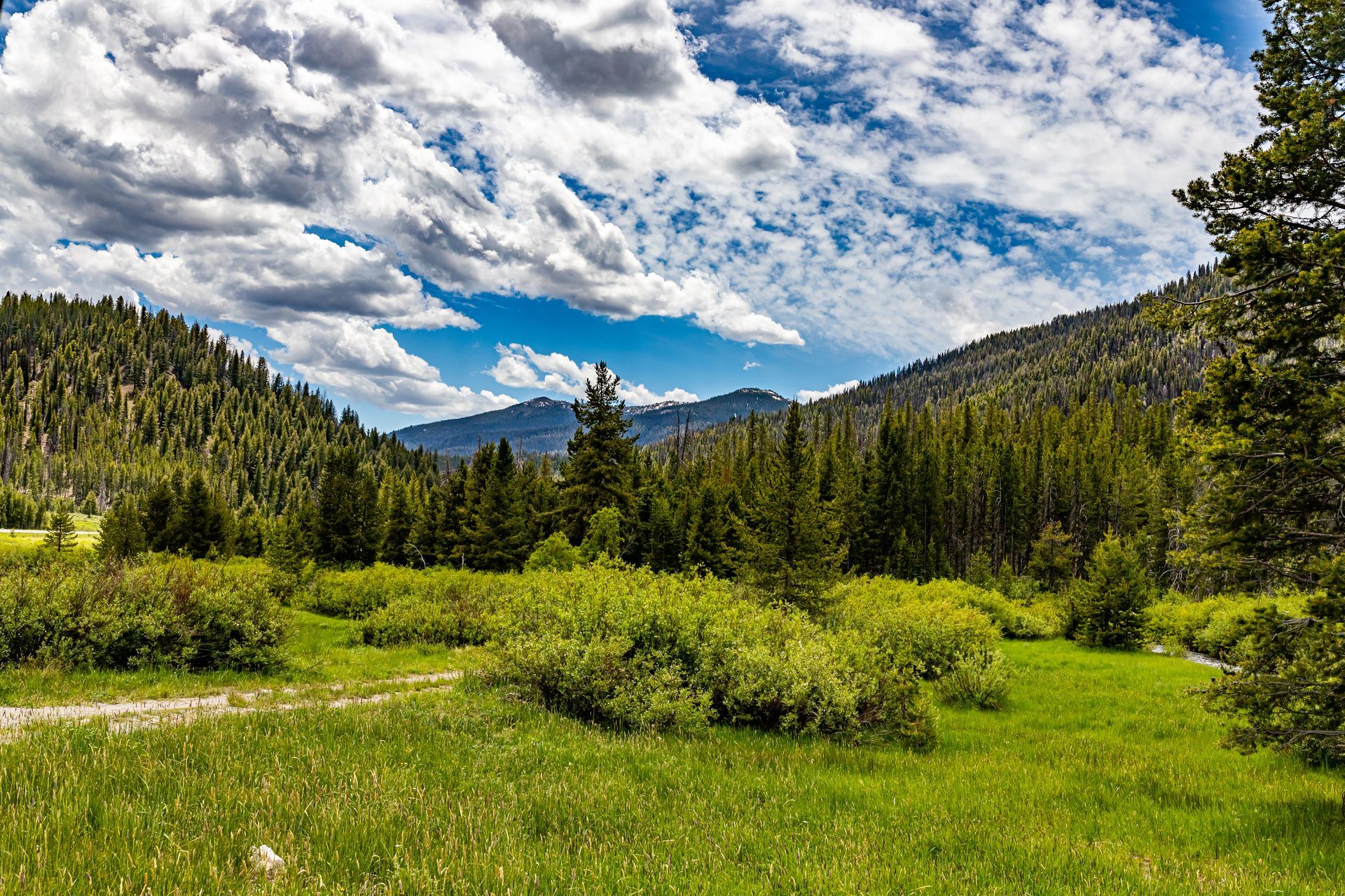 Green meadow and forested mountains under a partly cloudy sky