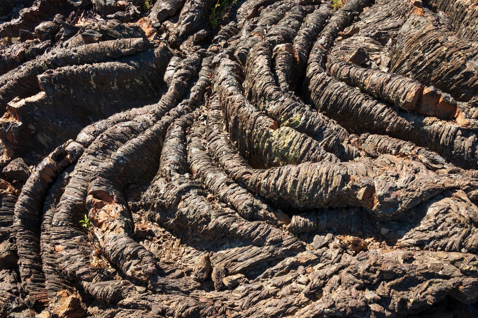 Close-up of rough, dried mud with deep ridges and cracked textures in earthy brown tones