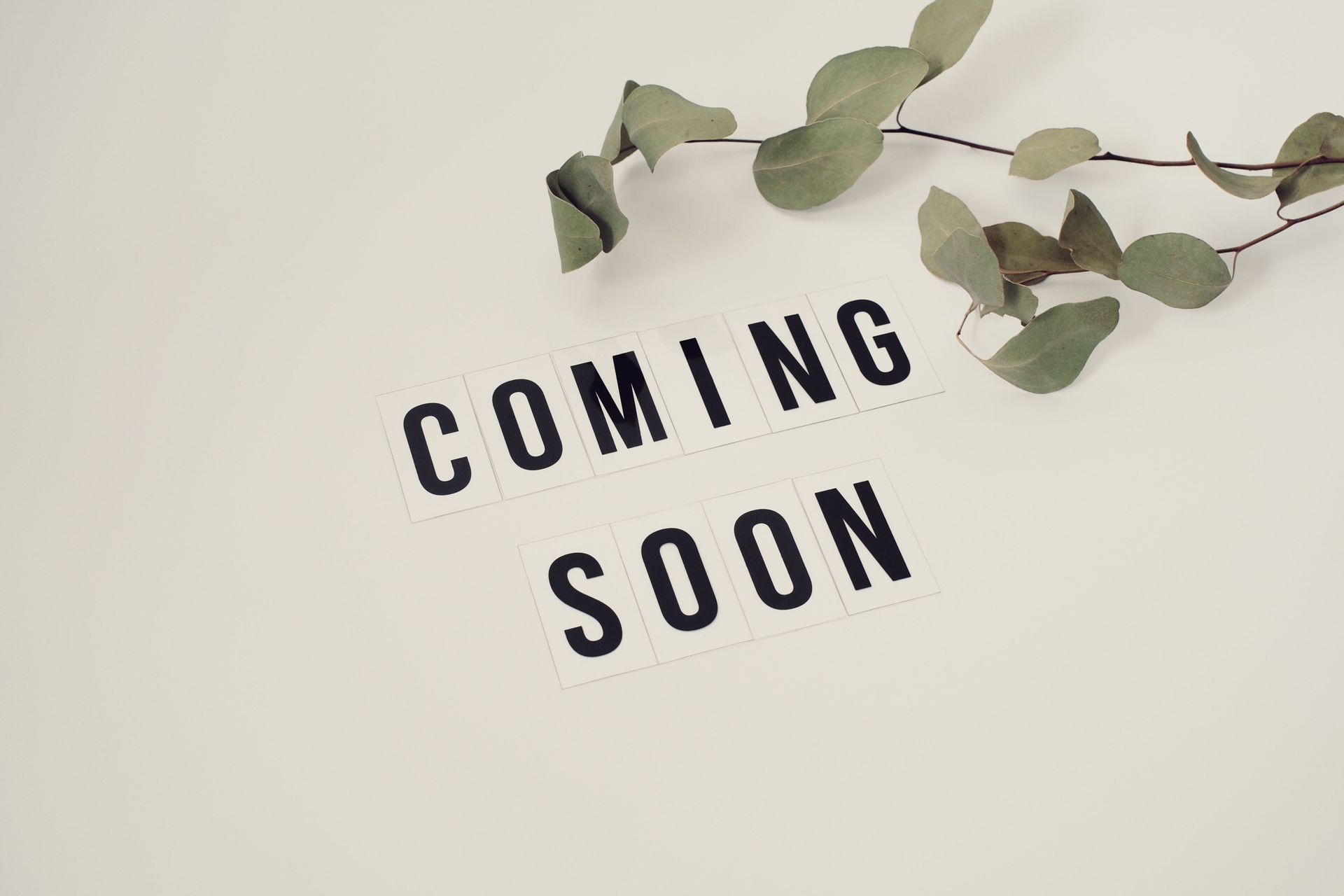 Black text reading “COMING SOON” on a cream background with green leafy branches above