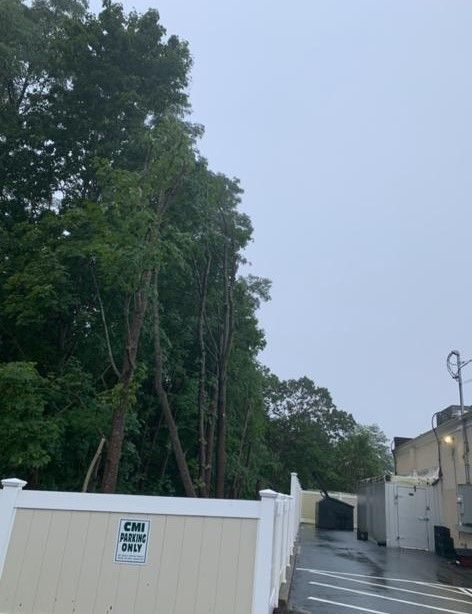 Driveway beside a white fence and building, with tall trees in the background under a gray sky