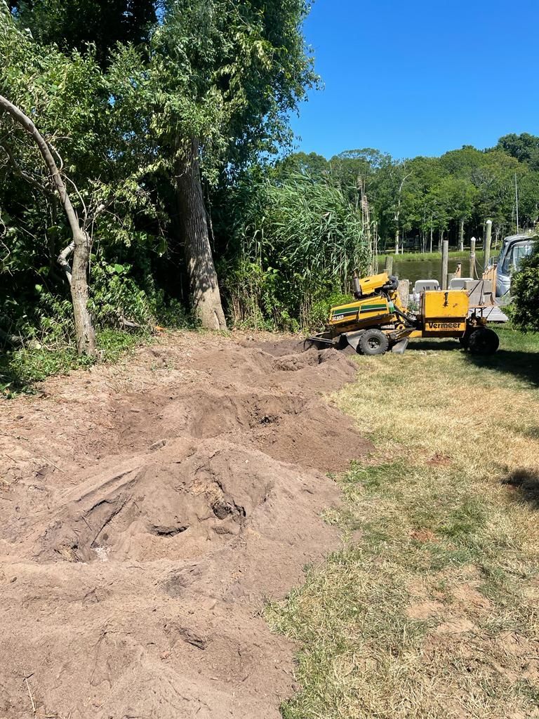 Yellow construction vehicle on a dirt path beside trees under a bright blue sky.