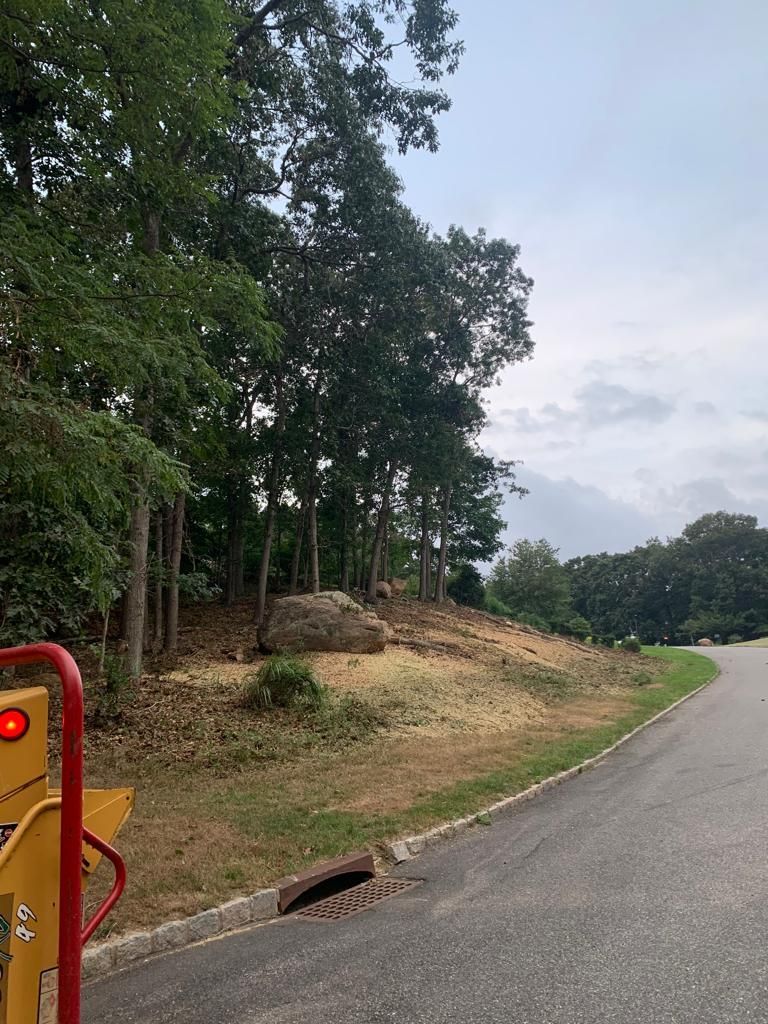 Road curving past a grassy embankment and trees, with a drainage ditch along the roadside.