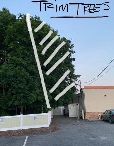 Sketch of a tree-trimming design over a street scene with a tree, fence, and building