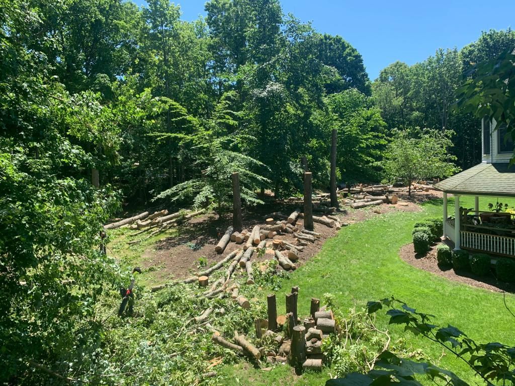 Wooded hillside with rock retaining wall, green lawn, and gazebo in a sunny backyard.