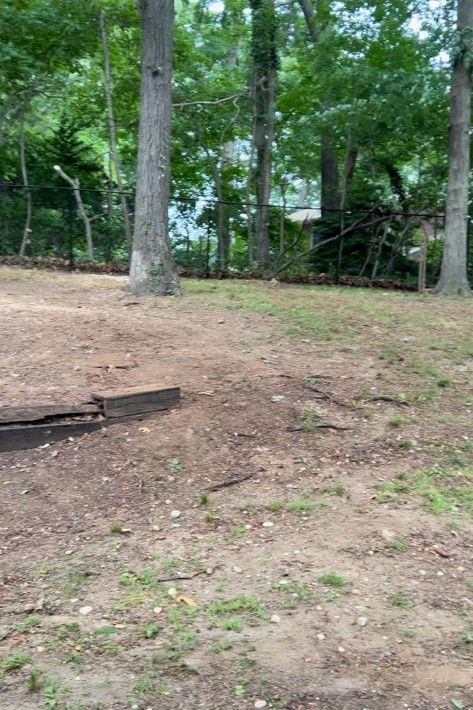 Wooded yard with bare dirt, scattered grass, and tall trees near a fence and small structure.