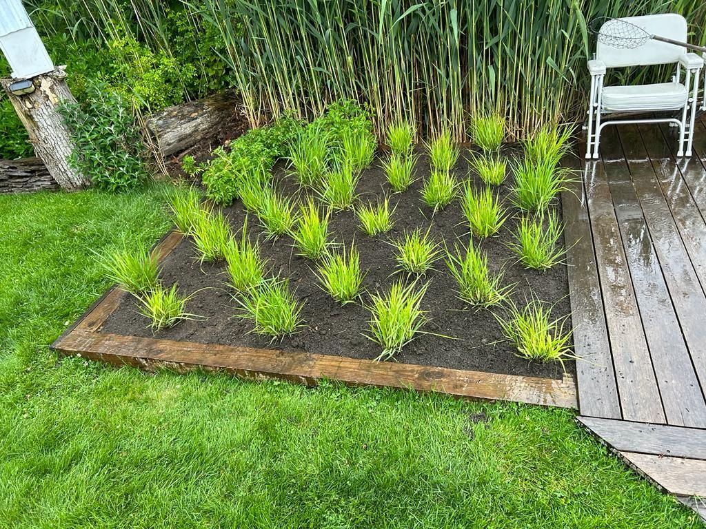 Freshly planted garden bed with young green plants beside a wooden deck and white chair