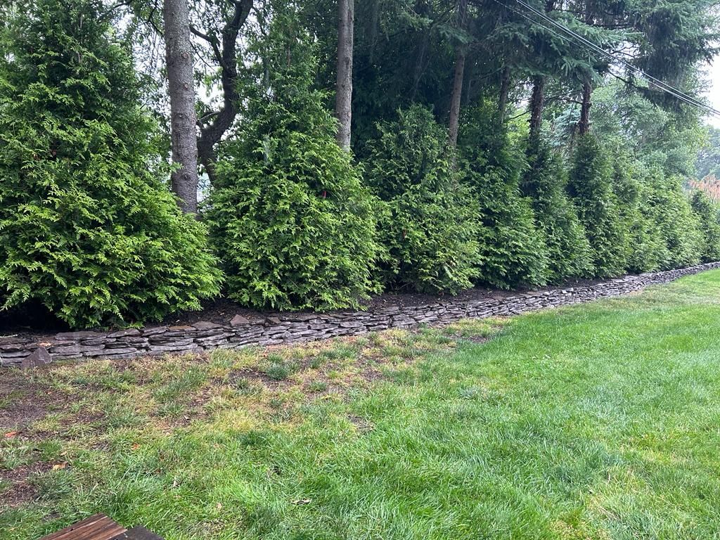 Row of green shrubs along a stone border beside a grassy lawn and tall trees