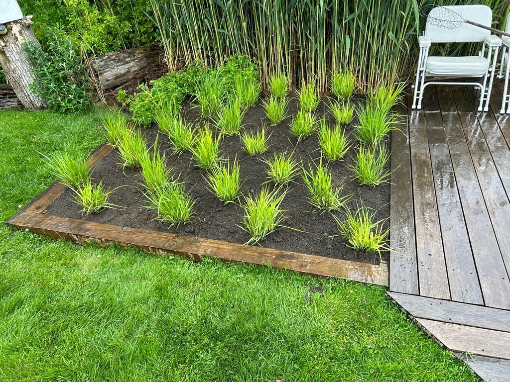 Freshly planted garden bed with small green plants beside a wooden deck and white chair