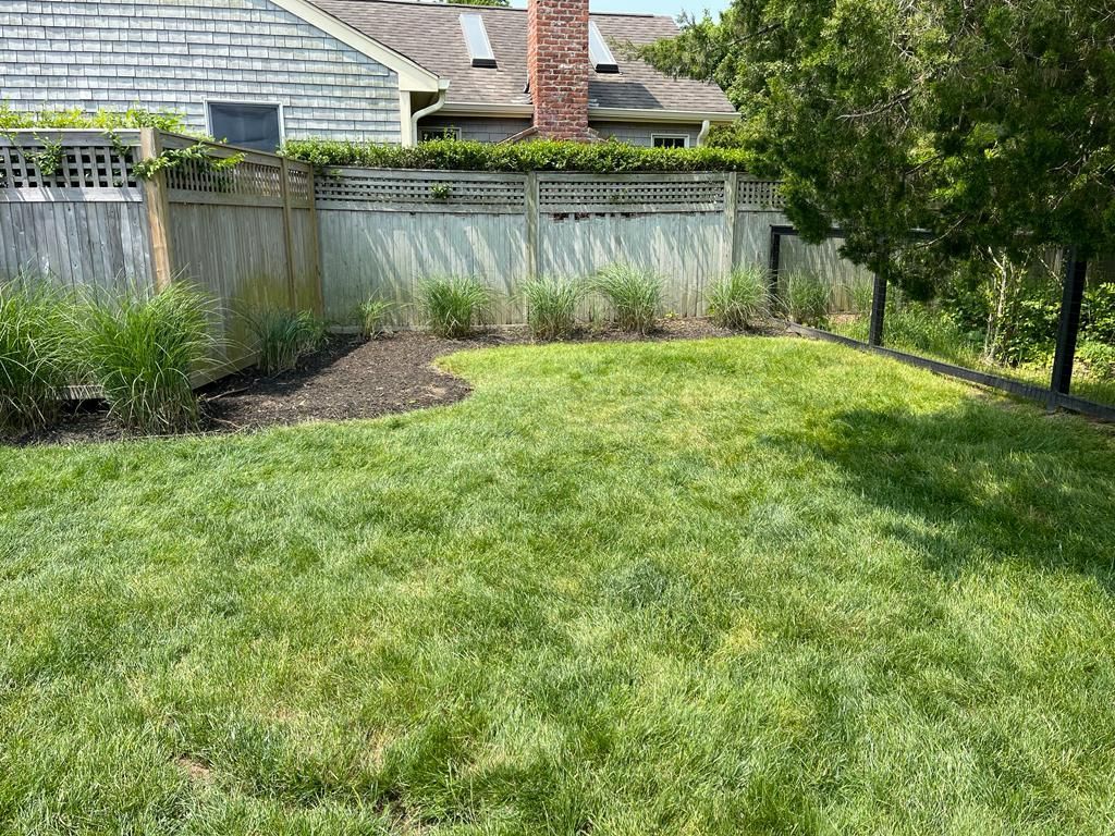 Backyard lawn with wooden fence, shrubs, and trees beside a house