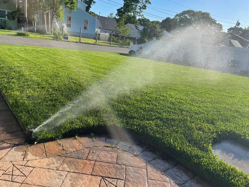 Lawn sprinkler spraying water over a green hedge beside a brick sidewalk in a sunny yard