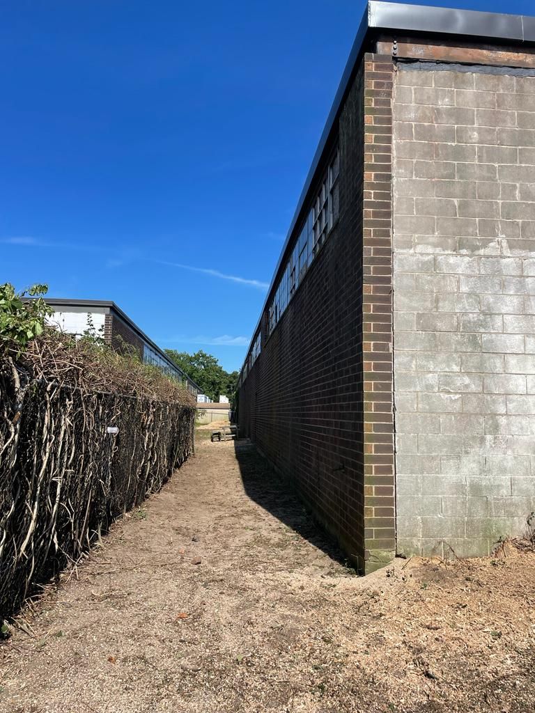 Narrow gravel alley between a hedge and a brick wall under a clear blue sky