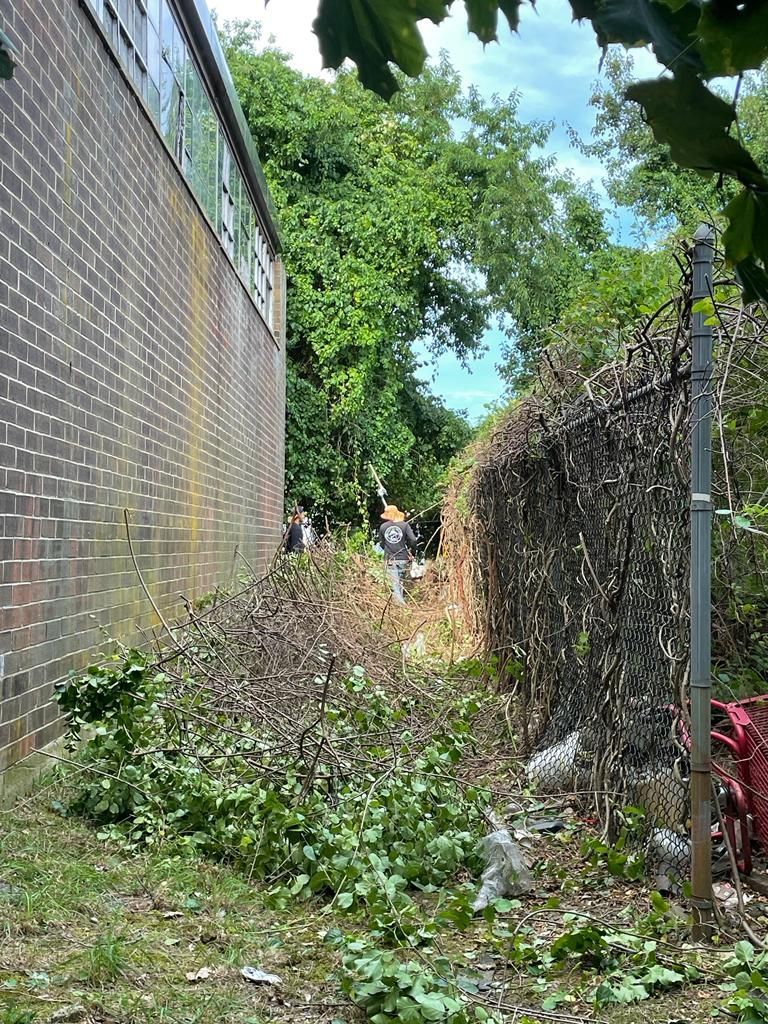 Narrow overgrown alley between brick wall and hedge, with a metal fence and sunlight at the end
