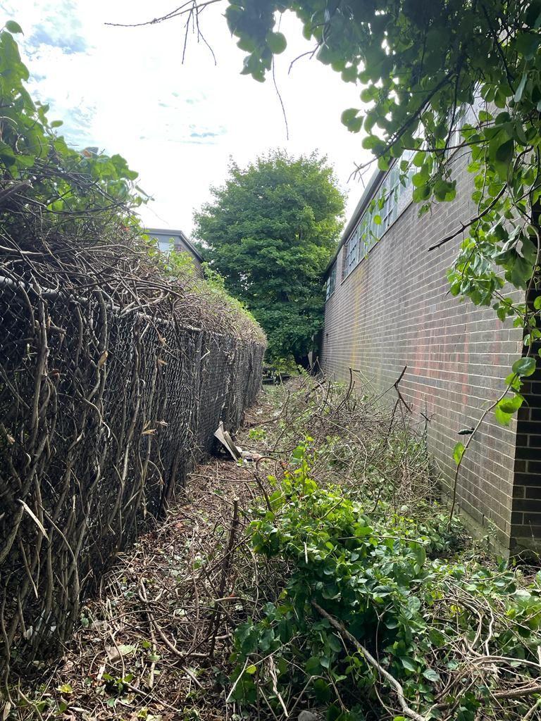 Narrow overgrown alley beside a brick wall and hedge under bright daylight