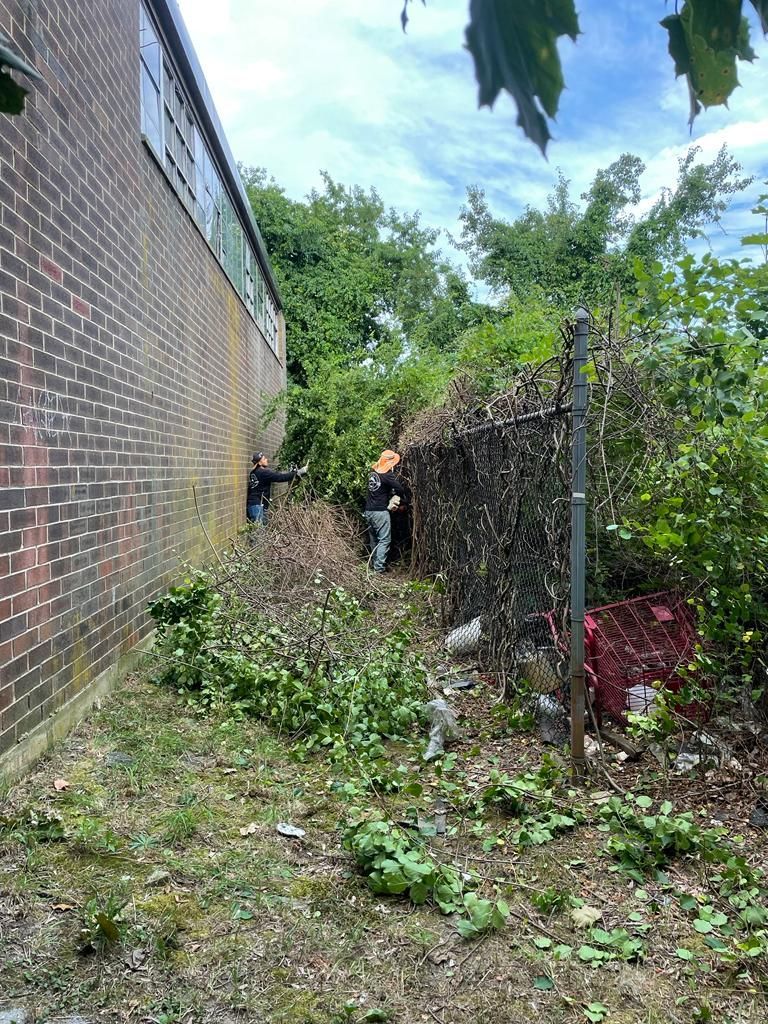 Person standing in overgrown narrow alley beside brick wall and fence, with piles of cut branches.