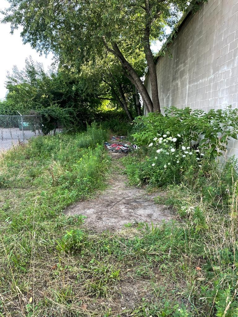 Overgrown backyard path beside a concrete wall and leafy trees
