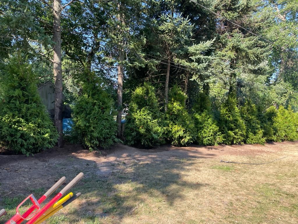 Red and yellow garden tools on dirt beside a wooded tree line under bright sunlight