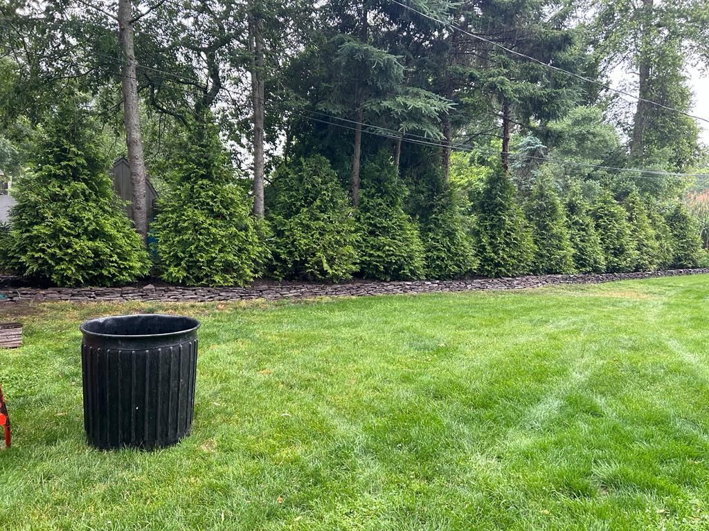Grassy park lawn with a black trash can, stone path, and trees along the edge