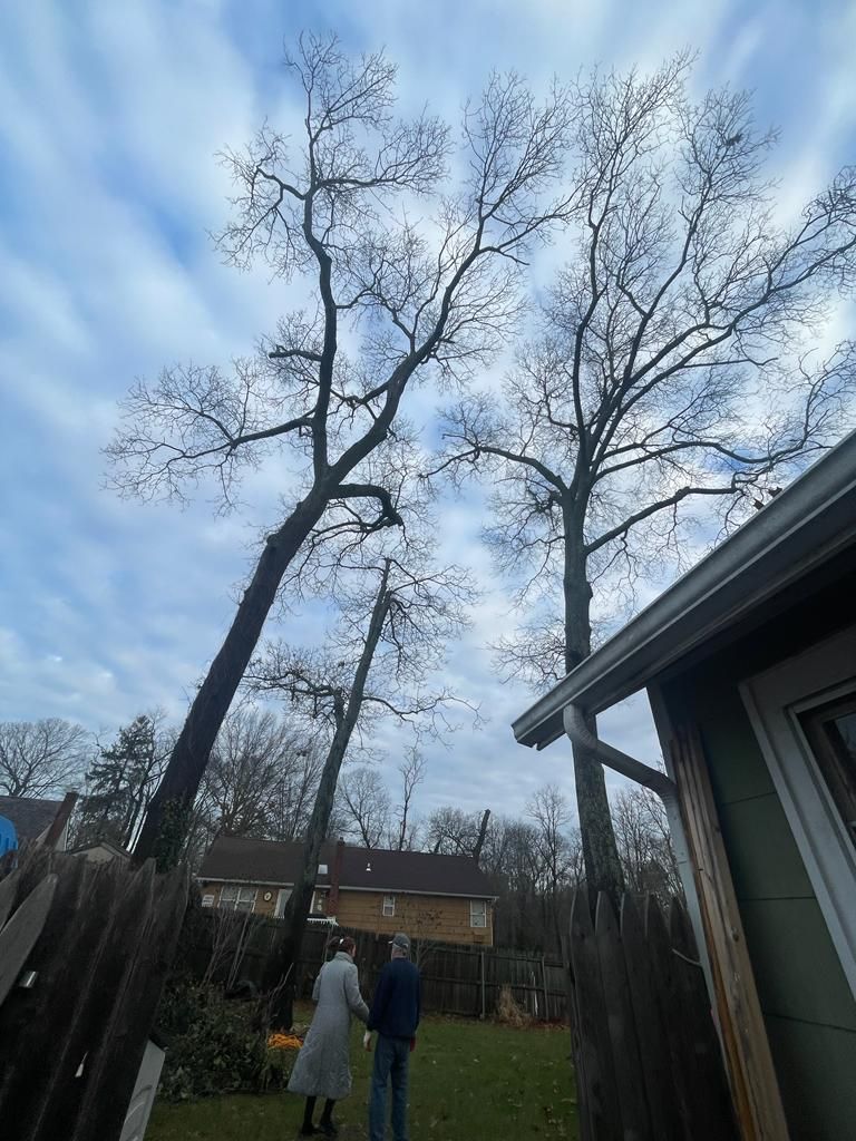 Two people stand in a backyard beneath tall bare trees and a cloudy blue sky, beside a house roofline.