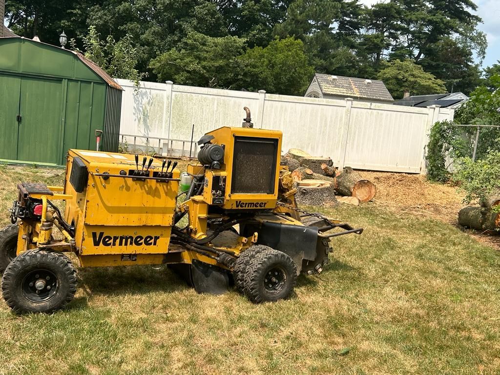 Yellow Vermeer trenching machine on grass beside a green shed and white fence in a backyard