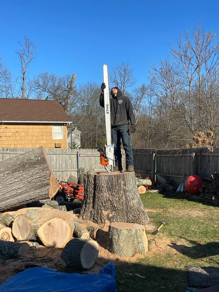 Person standing on a large tree stump beside stacked cut logs in a backyard.