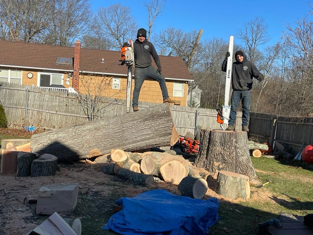 Two workers standing on a brick wall in a backyard with cut logs and a blue tarp below