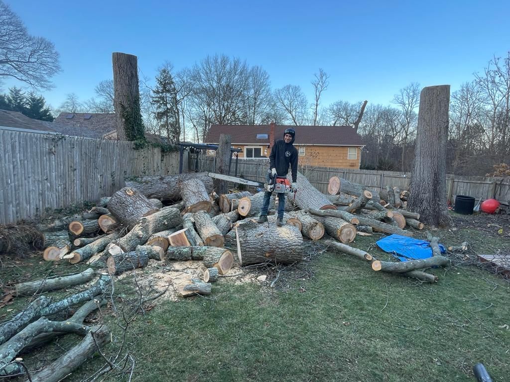 Person with chainsaw standing beside a large pile of cut logs in a yard with brick pillars and a blue tarp