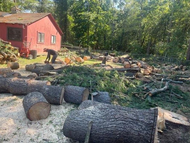 Logs piled in a yard beside a red cabin while a person cuts wood near the tree line.