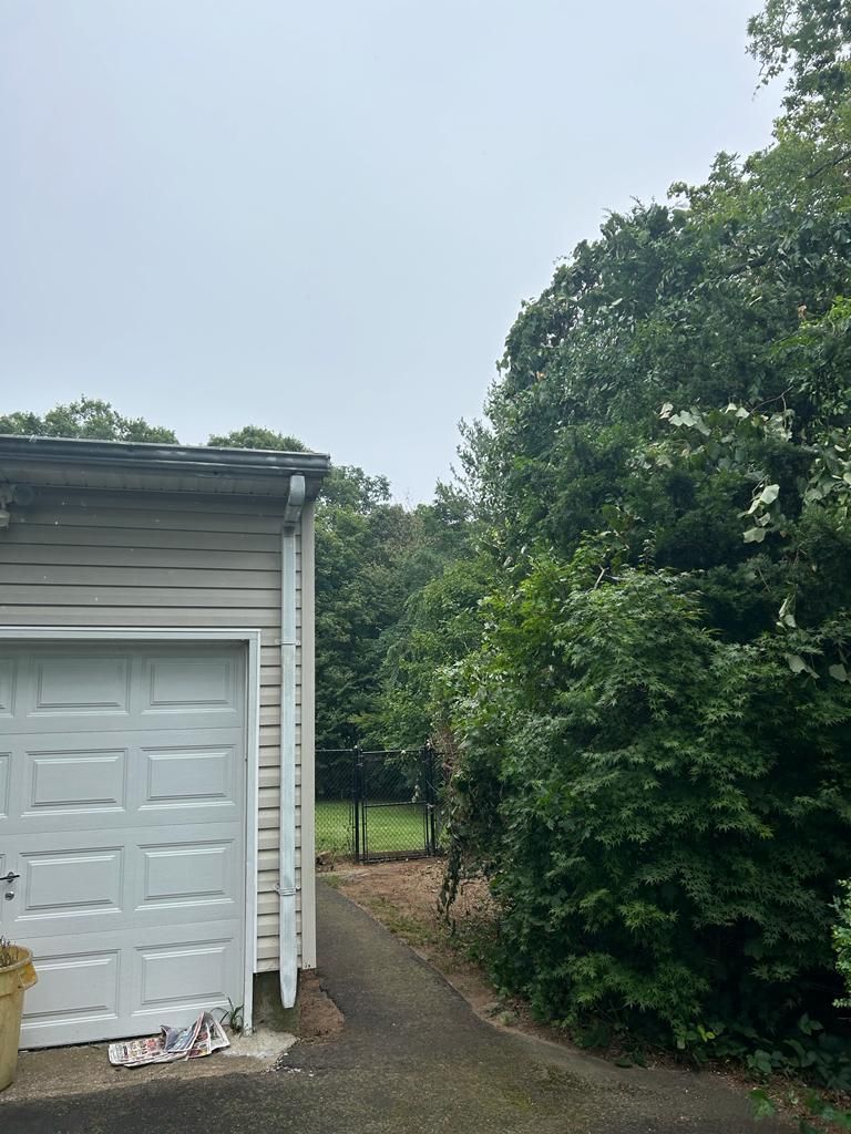 White garage beside a narrow dirt path, bordered by dense green trees and shrubs under a cloudy sky