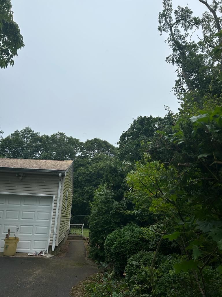 Driveway beside a white garage, surrounded by dense green trees under an overcast sky.