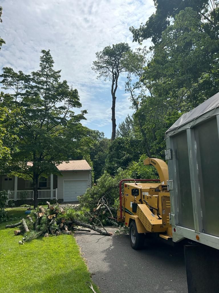 Tree limbs piled on a driveway beside a yellow wood chipper and truck in a leafy neighborhood.