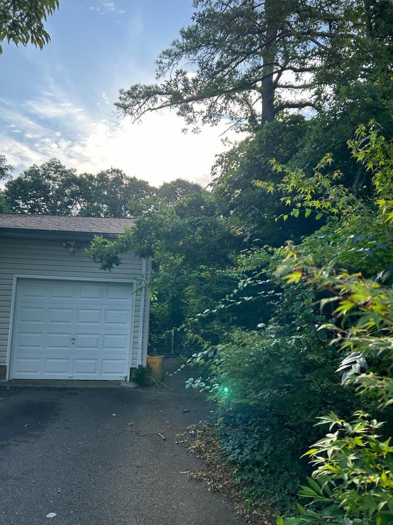 White garage beside a sunlit driveway, surrounded by trees and dense greenery.