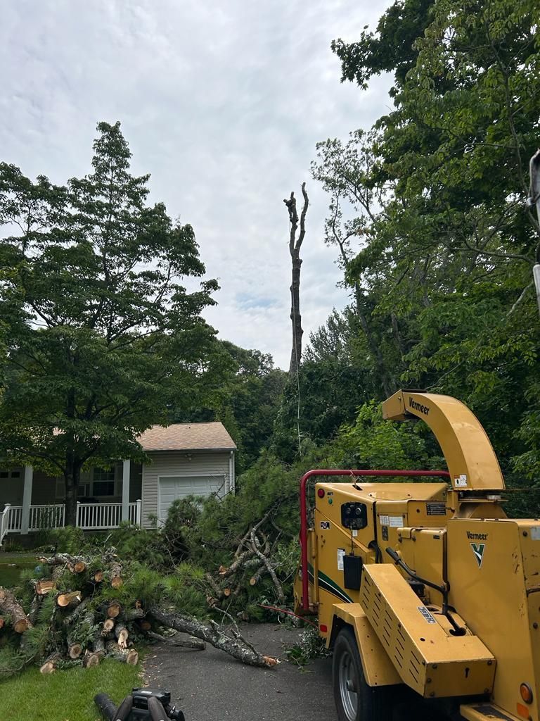 Yellow wood chipper beside fallen tree limbs in a yard with a house and tall trees after storm cleanup