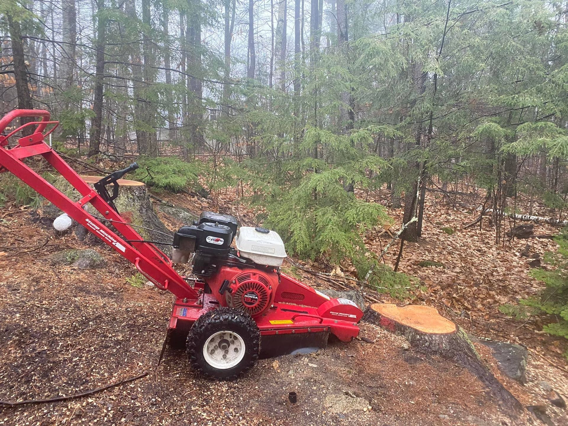 Red stump grinder on a rocky surface in a wooded area.