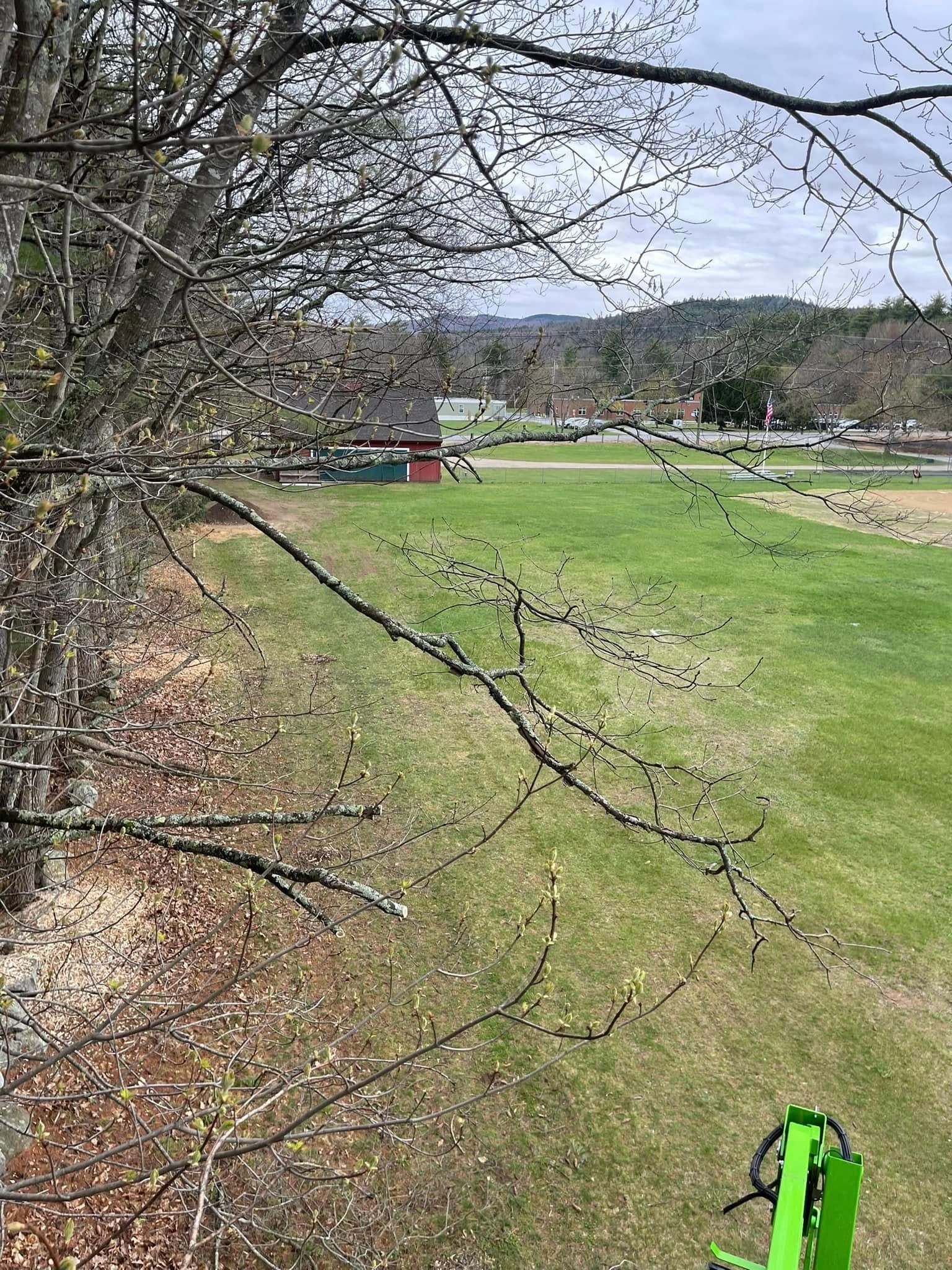 View from tree branches toward a green field with a building and mountains in the background.