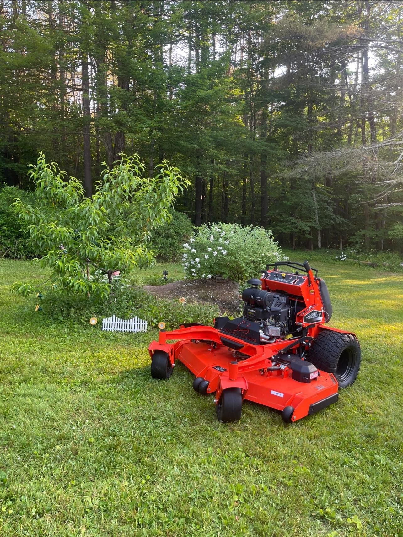 Red zero-turn lawnmower on a green lawn near bushes and trees in a sunny yard.