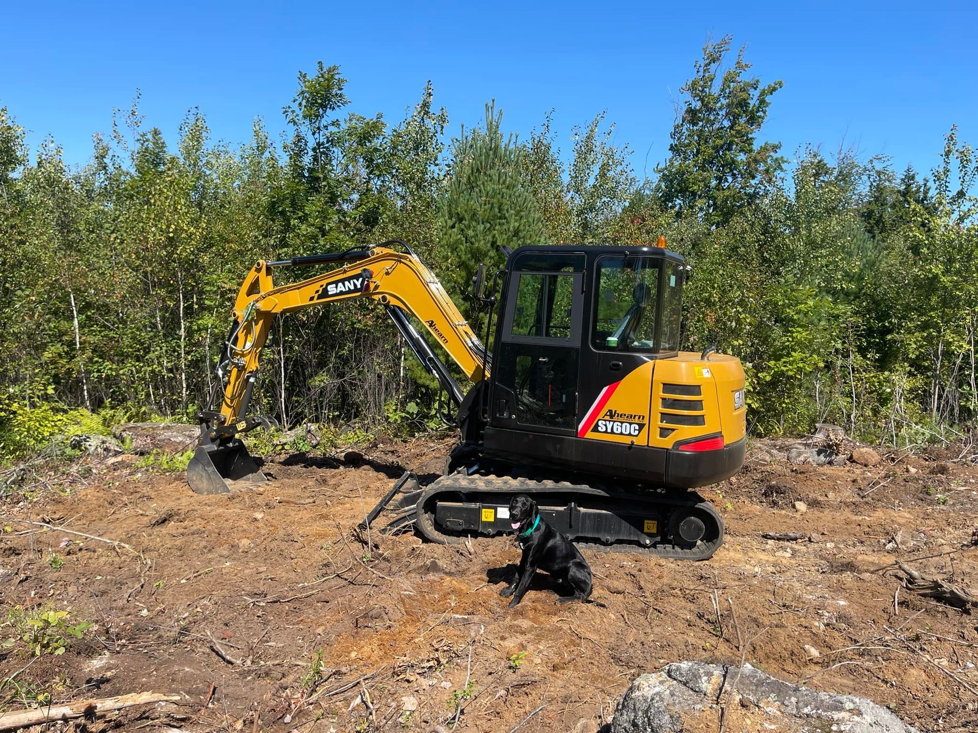 Yellow and black excavator in a clearing, trees in the background, blue sky.