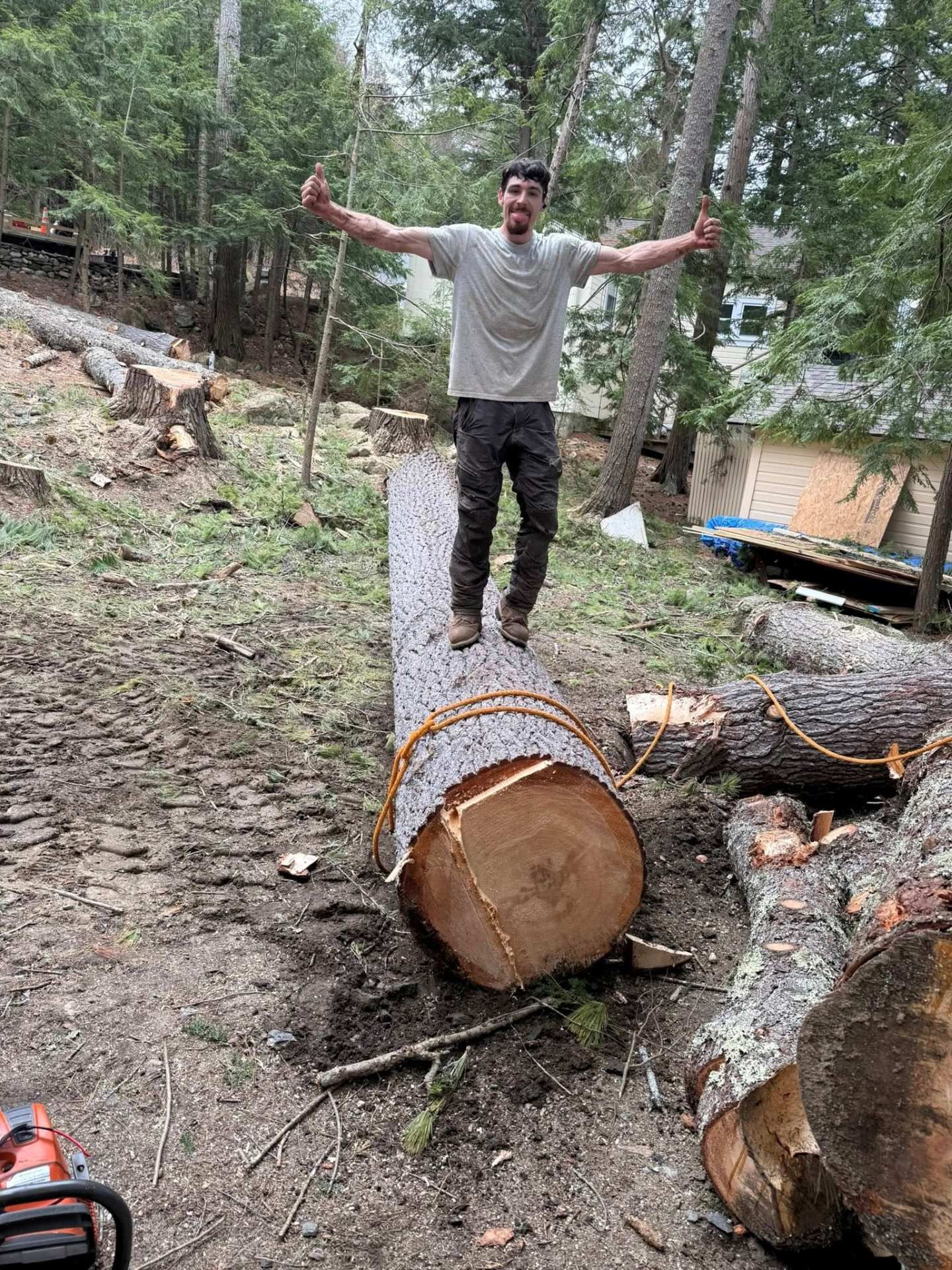 Man standing on a large log with arms outstretched in a wooded area.
