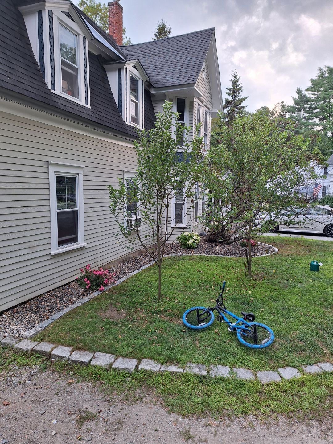 Blue bicycle on grass in front of a light-colored house with dark roof and small trees.