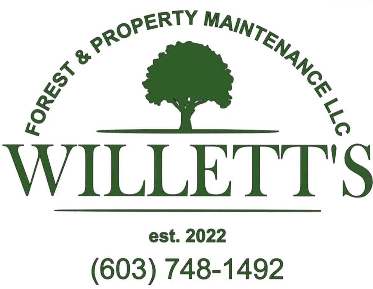 Logo for Willett's Forest & Property Maintenance LLC; green tree illustration, company name, phone number.