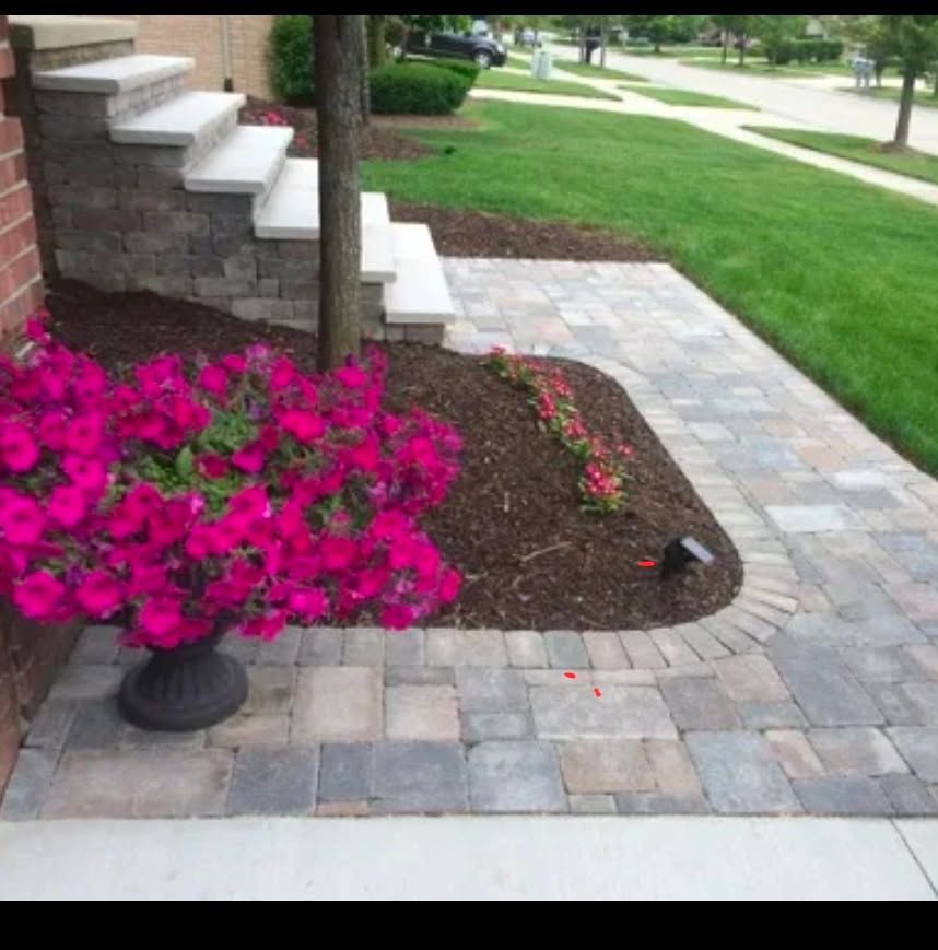 Bright pink potted flowers beside a brick house walkway and landscaped garden bed