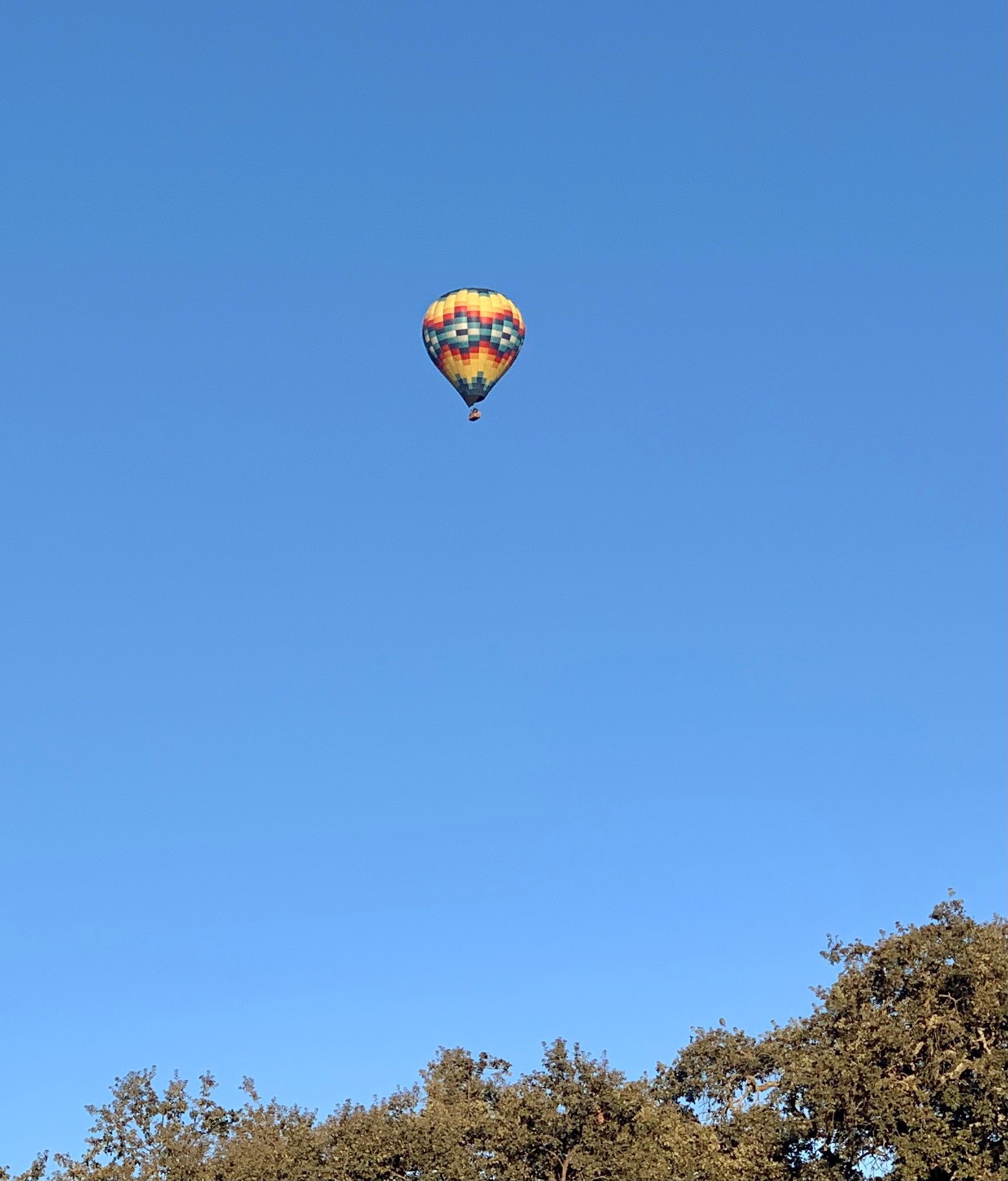 Private transportation in Napa Valley